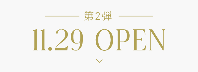 第2弾 11.29 OPEN