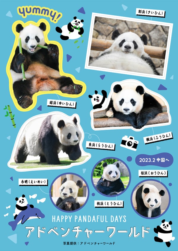 上野松坂屋 上野動物園、神戸王子動物園 非売品 パンダ来日５１周年